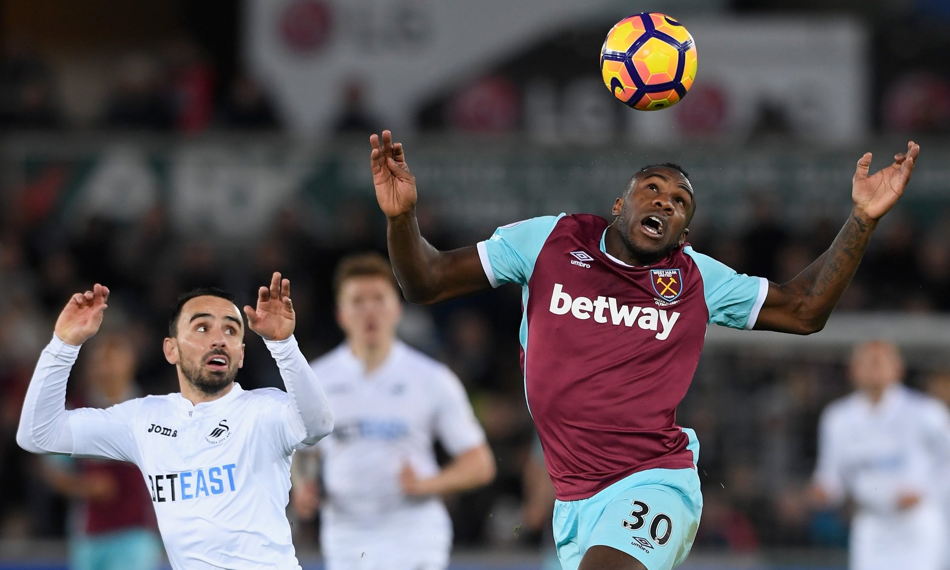 备的展示 备的展示